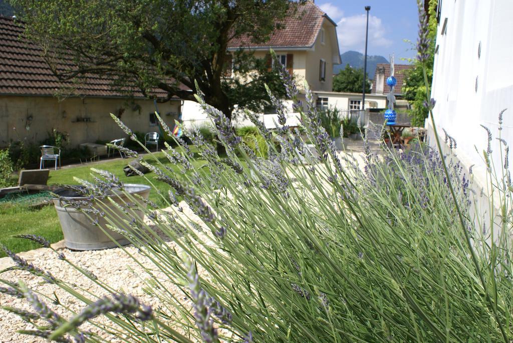 Carpe Diem - Bnb - Chambres D'Hotes Pery Екстер'єр фото